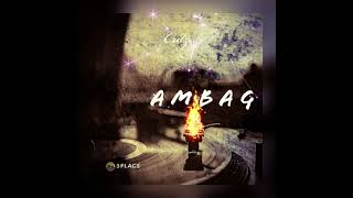 Critz - Ambag