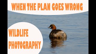 WILDLIFE PHOTOGRAPHY-WHEN THE PLAN GOES WRONG!