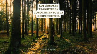 Así TRANSMITEN CONOCIMIENTO los ÁRBOLES a su descendencia ¿CÓMO ENSEÑAN a sus HIJOS? | Laura Raya