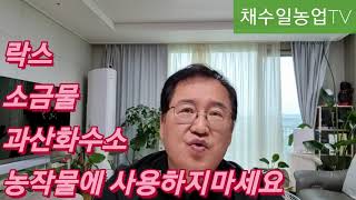 락스/소금물/과산화수소/미원 뿌리지마세요~토양이망가져요?농작물 아파요?