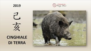 Oroscopo Cinese 2019 anno del Cinghiale di Terra Yin