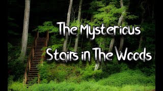 The Mysterious Stairs in The Woods (narrated by Alexander Sharpe)