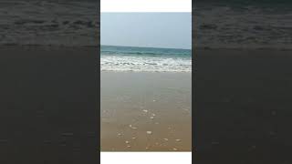 pani pani sea beach chilka