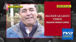 Reportaje denuncia millonarios sobresueldos a familias cercanas a alcalde de Lago Verde Nelson Opazo