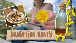 Making Dandelion Honey (Dandelion Syrup from Scratch)