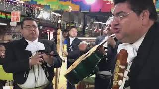 que voz tiene este intérprete pura música de mariachi