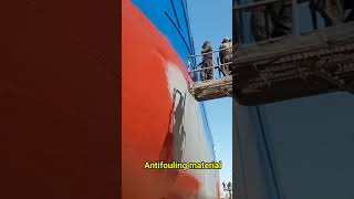 ఓడలు ఎందుకు ఎరుపు రంగులో ఉంటాయి 🚢 | Why Ships Painted Red 🚢 #shorts