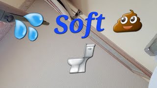 #Sprinkle & Soft #Poo #peeing #girlpeeing #girlpoop #poop #pooping #asmrsounds #asmr #asmrvideo #pee