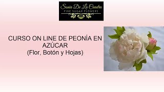 Presentación CURSO PEONIA AVANZADO on line por Sonia de la Cuadra