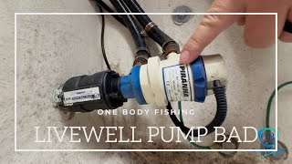 HOW to INSTALL a SHURFLO 800 LIVEWELL pump... PIRANHA LIVEWELL PUMP install... TWINVEE 240.