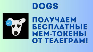 DOGS - срочно забери эти мем токены в телеграм! Полный гайд по заданиям | Листинг уже в августе!?