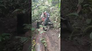 agora lascou!🙆😢😅😁✊🔥 #shortvideo #braap #2rodas #trilheirosdobrasil #offroad #viral #crf230 #roia