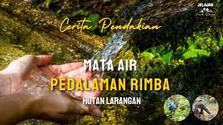 Keajaiban Alam ‼️Penampakan mata air atau hulu sungai di pedalaman rimba