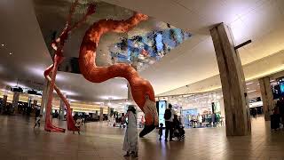 Tampa International Airport Flamingo Timelapse