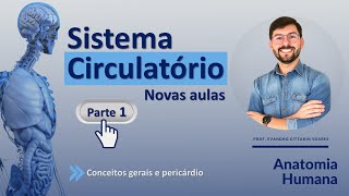 ANATOMIA DO SISTEMA CIRCULATÓRIO - PARTE 1 - CONCEITOS GERAIS E PERICÁRDIO (AULA NOVA)