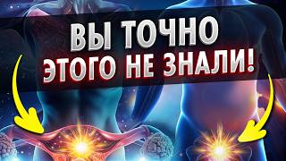 Миома и простатит возникают в основном из-за этого и про это почти никто не знает! Срочно исправляем