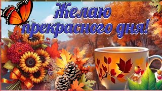 Желаю море положительных эмоций, тепла и света 🌤🍁🎶~МУЗЫКАЛЬНОЕ ПОЖЕЛАНИЕ~Музыкальная открытка