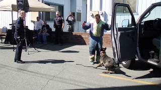 Vallejo PD Openhouse 962014Dog Police Dog Demonstrationb