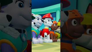 PAW Patrol On A Roll Short Video 16