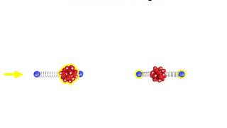 Light and Light Properties