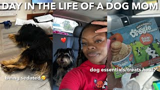 day in the life of a dog mom🫶🏽 | I PAID $500 FOR HIS VACCINES?!!! he had to be sedated🥺!