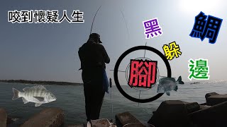 磯釣 黑鯛就躲在腳邊