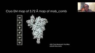 From large to small, protein design for stability and de novo interfaces