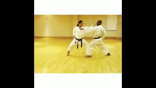 Kata Training - Self Defence - Application of Heian Sandan