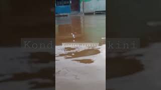 banjir Kalimantan Barat #shorts #banjir #kalbar #sintang