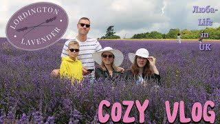 13.07.24🇬🇧 /Lordington lavender farm/Уютный, влог/Погода в Англии.Cozy vlog/russian daily life vlog