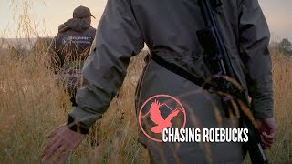 "CHASING ROEBUCKS" - Roebuck Stalking in Scotland (Full Film)