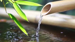 Relaxing Bamboo Fountain