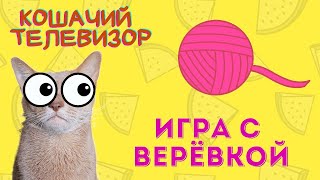 Видео для кошек - поймай шнурок и веревку 😻Кошачий телевизор 😻 Игра для котов и кошек на экране😻