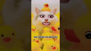 kyun nahi kiya abhi tak jaldi karo #subscribe #sumitsharmafans #funny #viral #cats #reels #short