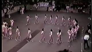 Part 2, Alpha Kappa Alpha, Alpha Chapter - Greek Show 1987, Howard University - #33QGOG