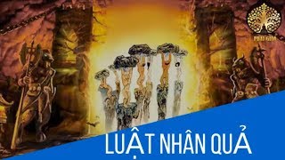 Thoát chết nhờ luật nhân quả chuyển vận mệnh Truyện Nhân quả phật giáo hay nhất