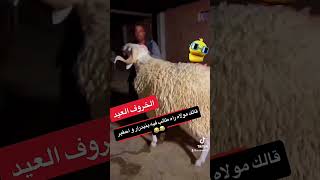 الحولي  تبارك الرحمن