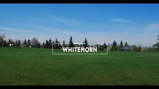 Calgary Community Spotlight - Whitehorn - John Hripko Real Estate Team