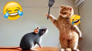 Best Funny Dogs and Cats Videos😿🐶Funniest Animal videos 2024😜Part 1