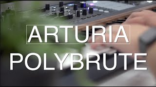 Arturia Polybrute just BLEW my mind - explorations with polyphonic LFOs on this amazing synthesizer!