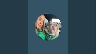 @barkleythabulldog is live!