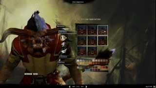 Guild Wars 2: BWE2-Charr story gameplay-maxed out[1080p]