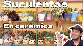 Tu espacio lleno de suculentas y plantas en macetas de cerámica. Ayúdame a acomodarlas en estantes