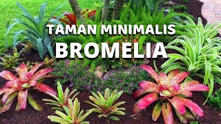 TAMAN BROMELIA, cara membuat taman minimalis dengan bromelia dan batu-batu cantik