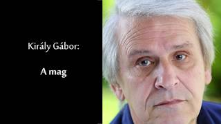 Király Gábor: A mag