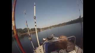 Boating at Alafia River, Riverview, Florida