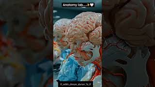 #anatomy #lab #mbbs #life