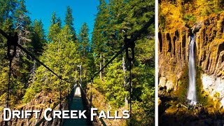 Drift Creek Falls, Oregon | Amazing Hike to Suspension Bridge & Waterfall