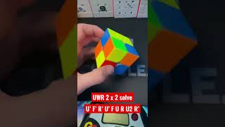 Unofficial world record 2 x 2 solve ( 0.31 seconds )