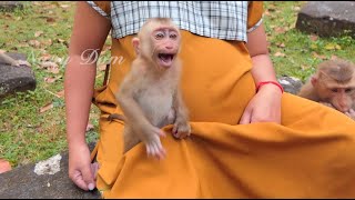 Mom KT try to comfort baby Angela to stop crying, hungry baby sit on mom cry non stop for milk